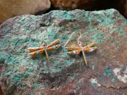 Spiny Oyster Shell & Opal Dragonfly Handcrafted Sterling Silver 925 Earrings T34