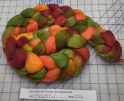 Fine Superwash Wool Top Roving Spinning Handpainted Dyed USA NWT Bountiful