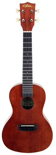 Aria AU-Series Tenor Ukulele Starter Package Includes Uke, Clip-on Tuner, Gig Bag & Book with CD/DVD