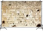 ChloropLastid Western Wall Backdrop Jerusalem Wailing Wall Backdrop Israel Judaism Old City Backdrop Church Event Decor Photo Booth Studio Props10x8ft