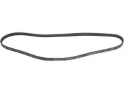 API ProTune Multi Rib Belt fits Nissan Quest 1994-1997, 1999-2002 GXE 21QWNK (for: Nissan)