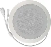 Snblzhef 10W Network IP Public Address System Audio ABS Ceiling Speaker POE or DC12V