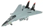 37191 Easy Model F-14D Tomcat 1/72 Model AD164 USN VF-101 Grim Reapers