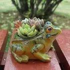 Resin Frog Planter Decorative Plant Pot for Small Plants Plants Container