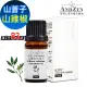 【 ANDZEN 】單方純精油10ml-山雞椒 天然 草本