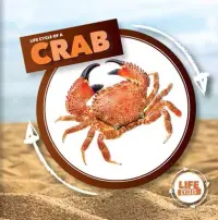 在飛比找博客來優惠-Life Cycle of a Crab