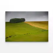 A Large Green Field with a Tree Print 100% Australian Made 150 x 100cm (Stretched)