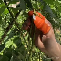 在飛比找蝦皮購物優惠-💥限時下殺 💥川昱摘花椒神器拇指刀豆角手指刀掐葡萄蔬果采摘器