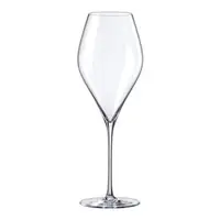 在飛比找森森購物網優惠-【Rona樂娜】Swan天鵝系列 / 葡萄酒杯-560ml(