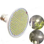 200LED LED 植物生長燈泡植物燈全光譜花卉生長帳篷燈室內照明生長燈 TW2L