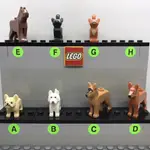 【LEGO樂高】動物系列003