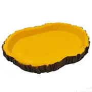 Catzon Reptile Food Bowl Habitat Breeding Box for Amphibians-GD017