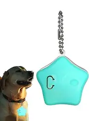 Puppy Lights for Night Walking - Pentagram Design USB Charging Dog Safety Light | Anti-Lost Pet Luminous Charm Flash Pendant for Cats Large Breed