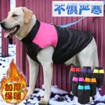 狗狗衣服秋冬款加厚保暖棉服小型犬泰迪比熊拉佈拉多金毛大狗衣服大型犬衣服 狗狗衣服 寵物保暖衣 冬天衣服 兩腳衣 臺灣熱賣