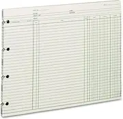 Wilson Jones GN2D Accounting, 9-1/4 x 11-7/8 (Pack of 100 Loose Sheets)