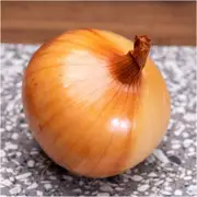 Onion - Yellow Spanish Early seeds