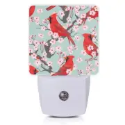 Red Cardinal Night Light,Blooming Cherry Night Lights Plug into Wall for Boys...