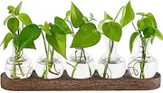Plant Propagation Station, Plant Terrarium with Stand, Desktop Plant Terrarium Glass Planter Vase for Hydroponic Plants Flower Cutting Home Office Garden Decor Plant Lover Gifts-5 Vase