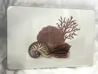 Set of 4 Shells & Coral Cork Backed Placemats 17" x 11 3/8" New in Wrap