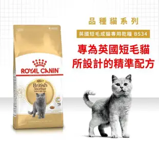 【ROYAL 法國皇家】英國短毛成貓專用飼料 BS34 4KG(貓乾糧)