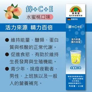 SUNLIFE 森萊富 發泡錠 20錠 24錠 維他命C1000 C 鎂 B群+電解質 鐵+C 鋅+C+E 綜合維他命 【立赫藥局】