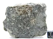 NWA 14456 H6 Chondrite meteorite 170.5g rare remnant chondrules fresh meteorite