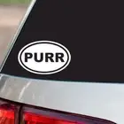 PURR Sticker Cat Kitten Meow oval euro chrome & regular vinyl color choices