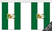 ANDALUSIA BUNTING 9 metres 30 flags Polyester flag ANDALUCIA