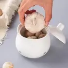 Garlic Keeper for Countertop Keep Your Garlic Cloves Fresh Ventilated Garlic
