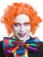 Mad Hatter Costume Wig and Eyebrows