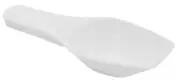 Scoop, 2ml (0.06oz) - Polypropylene Plastic - Flat Bottom - Eisco Labs