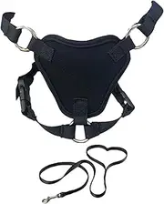 Cat Harness and Lead Set for Walking Escape Proof Cat Harness, Kitten and Leash Lightweight Adjustable Vest Harnesses for Cats Dogs Black Kitten and Lead Set