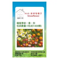 在飛比找momo購物網優惠-【蔬菜工坊】H60.麥桿菊種子(瑞士巨人)