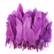 Tiny Goose Pointer Feathers 10 grams - Purple