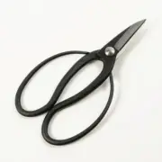 "SHIGEKATSU " Aogami Steel Okubo Scissors for Right Hander 180mm(7.1”)