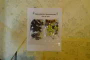 Scott 280 amplifier capacitor restoration recap repair service rebuild kit fix