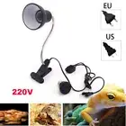 Reptile Lamp Kit Turtle Tortoises Lizard Basking Heat Light Bulb Clip-On Holder