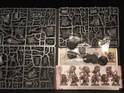 10 New Chaos Warriors Warhammer Age Sigmar slaves to darkness Halberds Shields