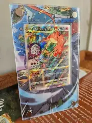Charizard VStar #SWSH262 (Full Art) + Extended Artwork Display Case