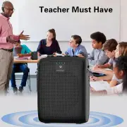 WinBridge Wireless Voice Amplifier with Two Bluetooth Headset Microphones, Portable Speaker and Mic