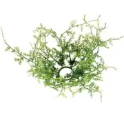 Four 1" Wispy Grass Taper Candle Rings (set of 4)