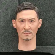 1/6 Nick Cheung Asia Male Head Carved fit 12'' Soldier Figure Model