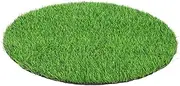 ROMISBABA Simulated Grass Table Mat Faux Turf Decor for Dining Table Settings Realistic Artificial Grass Placemats for Outdoor Indoor Table Decor