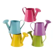 5 Pcs Iron Sheet Watering Can Mini Child Buckets Plants for Girls