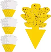 Fruit Fly Trap for Indoors Fungus Gnat Killer Indoor Sticky Traps for Mosquito and Flying Insects Yellow Sticky Paper Sheets 30 Pack Succulents