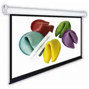 2C Enjoy IT 106" Manual Pull-Down Projector Screen