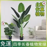 滿額免運_大型仿真植物盆栽 人造植物盆栽 北歐INS風格仿真盆栽 室內裝飾假盆栽 樹綠植盆栽 假花假樹 假植物H5