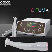 COXO C PUMA Dental Electric Micro Motor LED Handpiece 1:5 LED Contra Angle NSK