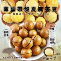 在飛比找松果購物優惠-【食尚三味】薄鹽帶殼夏威夷豆(附剝殼器) 600g (附剝殼