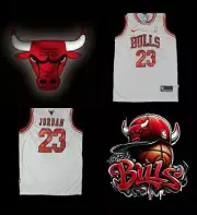 CHICAGO BULLS WHITE AND RED CLASSIC NBA MICHAEL JORDAN 23 JERSEY SIZE SMALL
